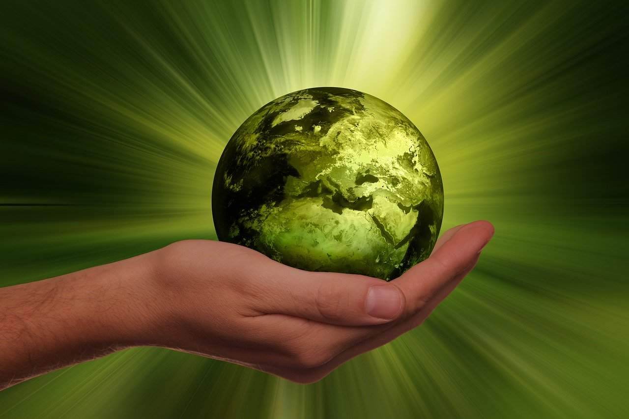 Gestión de la calidad y del medioambiente