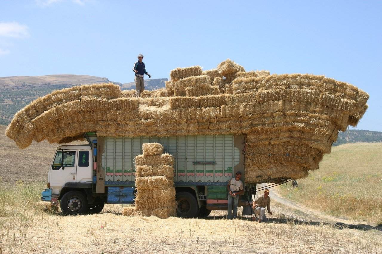 coste de multa por exceso de dimensiones