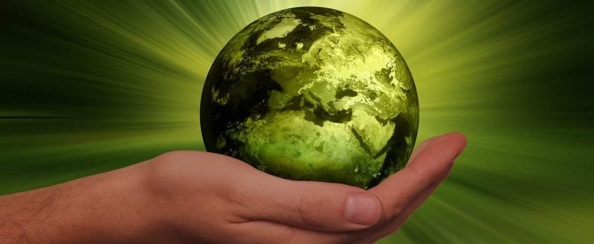 Gestión de la calidad y del medioambiente