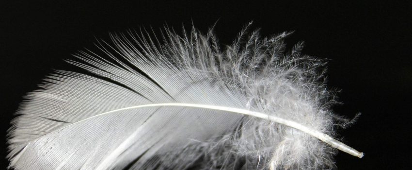 camión grúa pluma